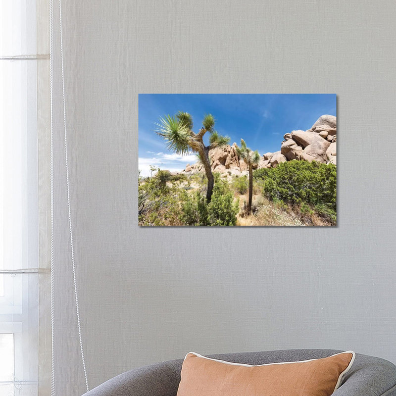 Lovely Joshua Trees by Melanie Viola - Wrapped Canvas Print, 66.04 cm H x 45.72 cm W x 1.91 cm D
