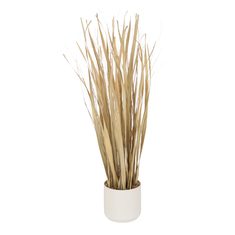 39'' Foliage Grass in Pot