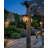 Leonis 10"High 1-Light Black Finish with Seeded Glass Shade Outdoor Wall Lantern