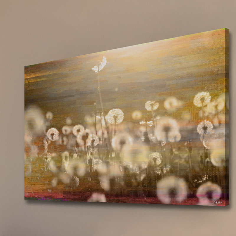 Parvez Taj - Wrapped Canvas Print, 51cm H x 76cm W x 4cm D