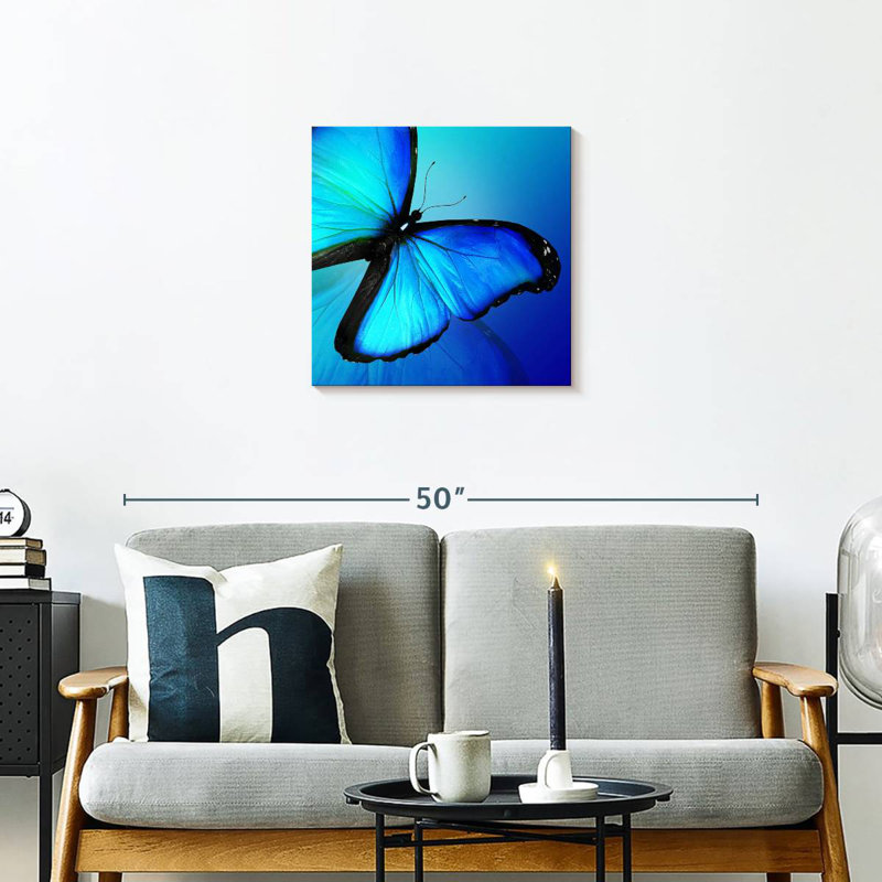 Brampt brillant Morpho papillon