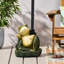 Base de parapluie Frog