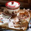 Winter Bakery Delight Large Pastry Box