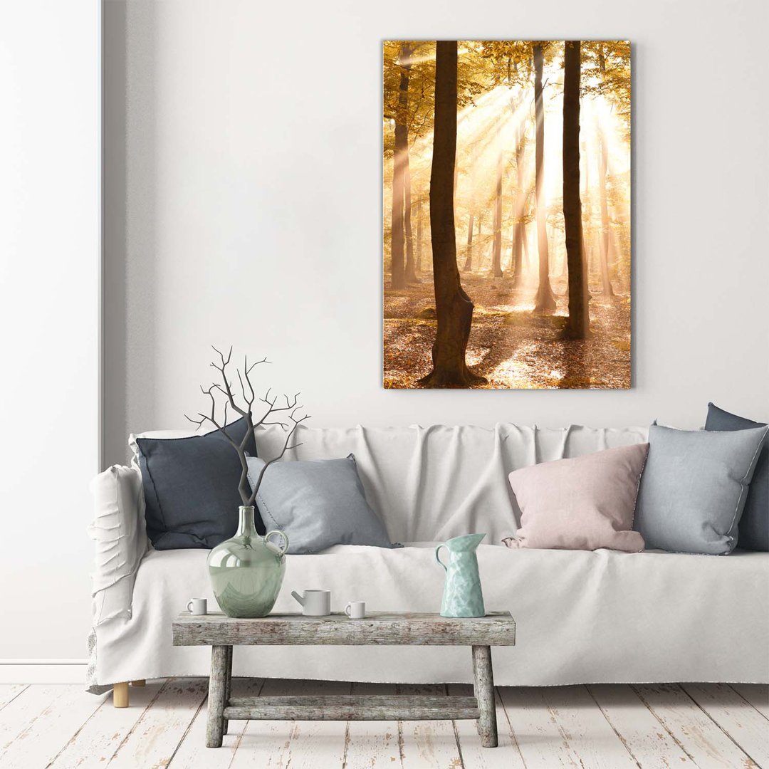 Herbstwald - Kunstdrucke auf Leinwand - Wrapped Canvas