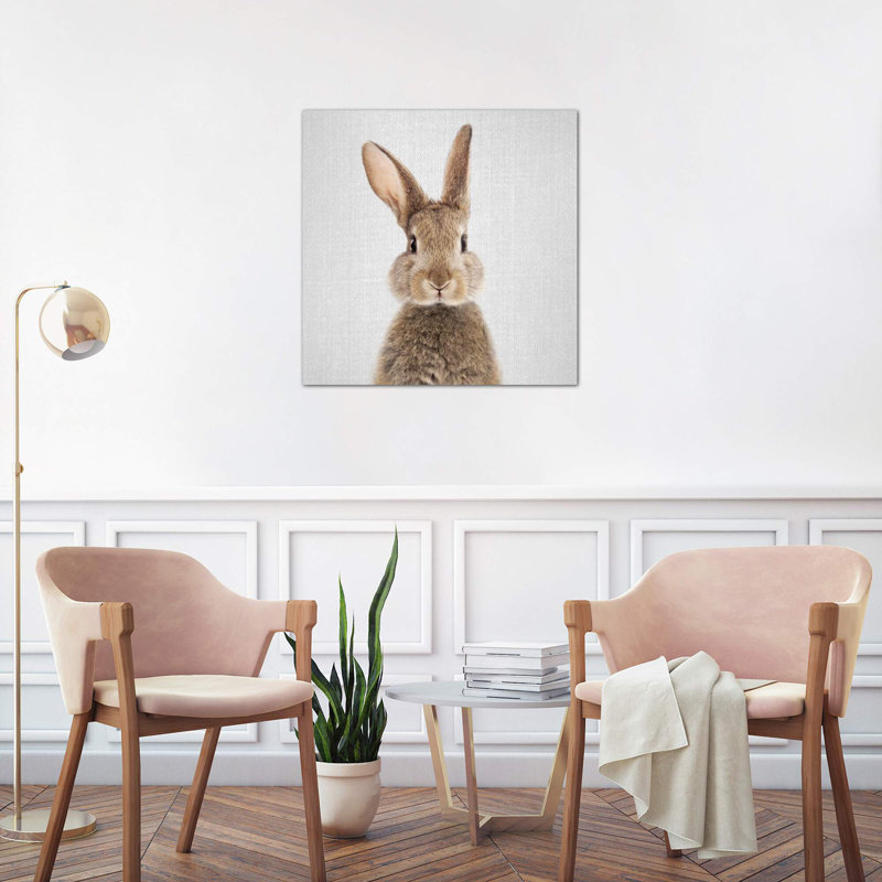 Rabbit by Gal Design - Print on Canvas, No Frame, 45.72 cm H x 45.72 cm W x 3.175 cm D