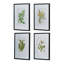 Ensemble de 4 fleurs murales botaniques