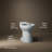 Cimarron Comfort Height Elongated Chair Height Toilet Bowl-51403924