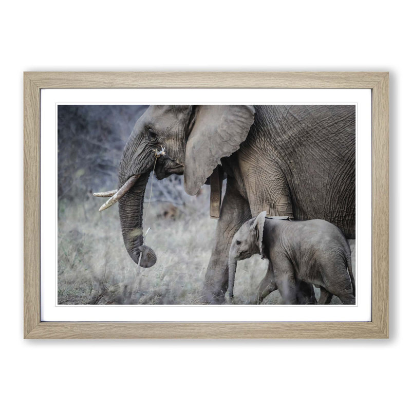 Single Picture Frame Print, Oak