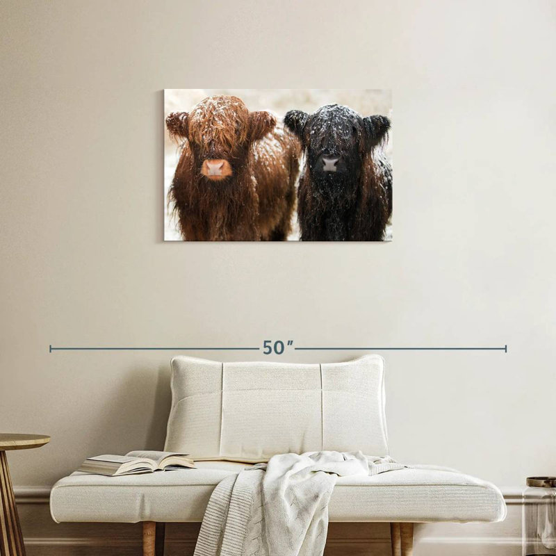 Brampt Hairy Highland Cows, 20" H x 30" W