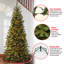 Tiffany Slim 10' Green Fir Artificial Christmas Tree with 800 Clear Lights with Stand-54726464