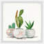 Cactus Planters - Single Picture Frame Painting-900528974