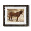 Cheval occidental I - cadre photo-1547326355-1547326364