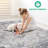 Area Rug, PAYAS Collection Multi / Traditional-1561200500