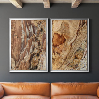 " Tree Texture Triptych I " 2 - Pieces Painting Print