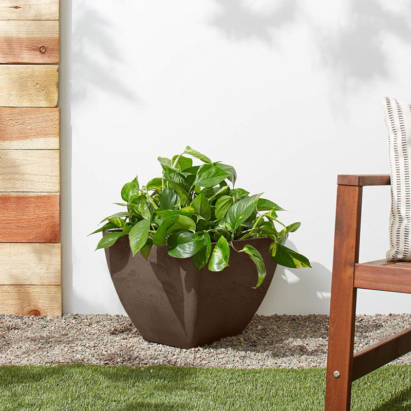 Murtagh Planter, Chocolate