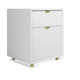 Dang 2 - Drawer Vertical File Cabinet