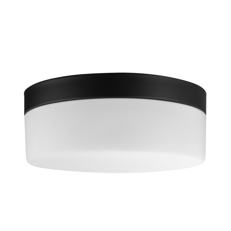 Luminaire encastré extérieur intégré à DEL noir Mark 23W