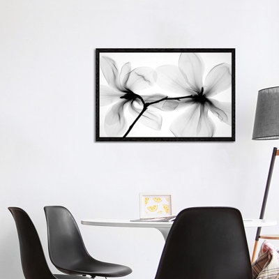 Magnolias I by Hong Pham - Print on Canvas