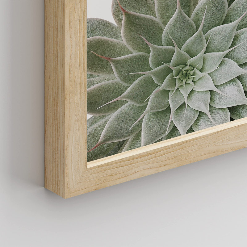 " Desert Succulent Close Up Echeveria Green Flower ", Natural, 16" H x 12" W