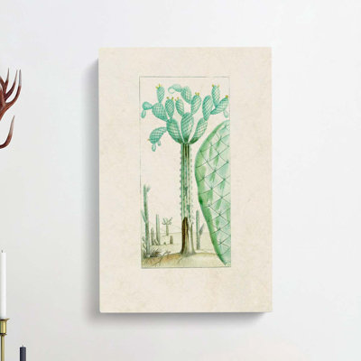 Cactus Illustration - Wrapped Canvas