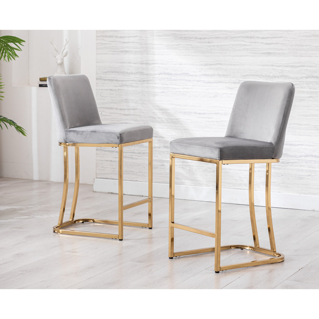 24" Upholstered Counter Stool (Set of 2) Everly Quinn 