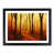 Black Framed selected
