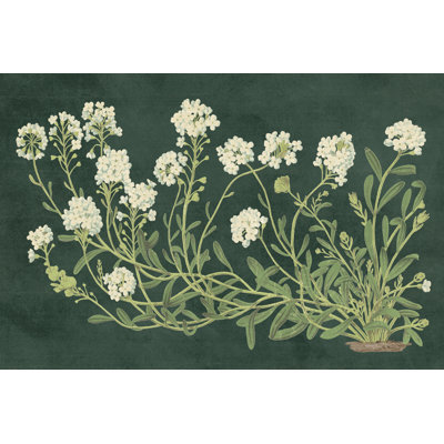Fleurs rétro sur fond vert - imprimé