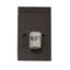 1 - Light Flush Mounted Sconce