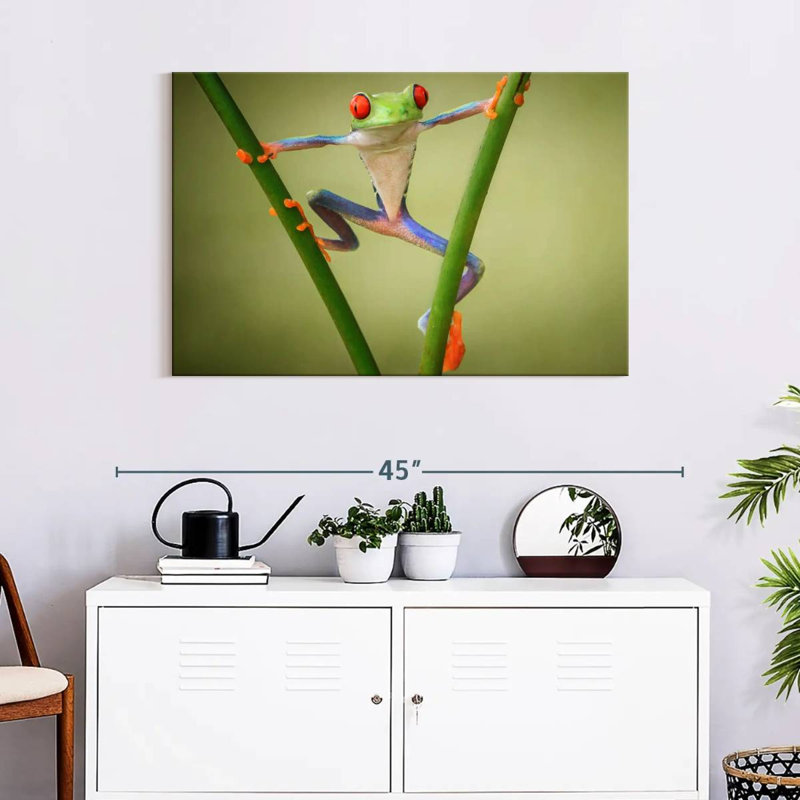 Frog Show Off, 24" H x 36" W