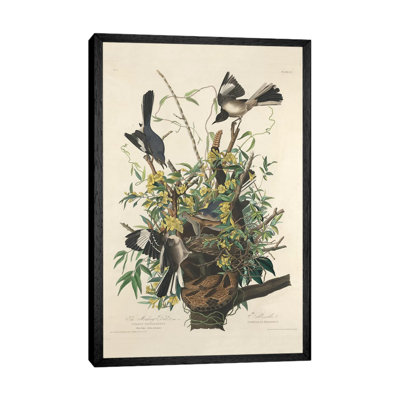 The Mocking Bird, 1827 by John Audubon - 1 Piece Painting on Canvas