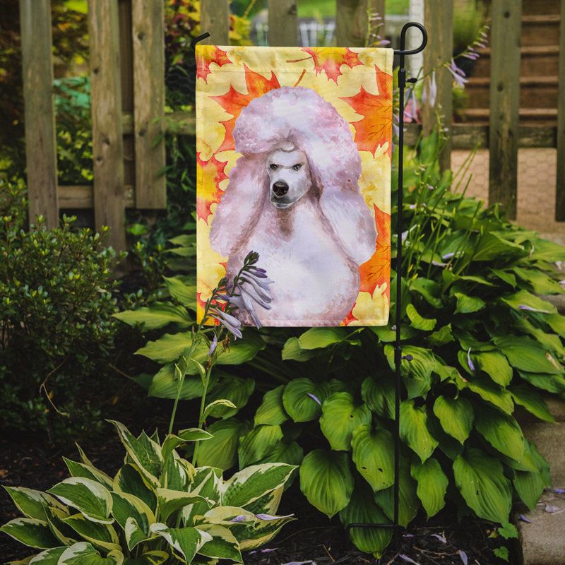 Automne 2 côtés en polyester 15 x 11 po drapeau de jardin, Caniche blanc