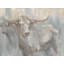 Gazing Longhorn Painting by Richard Ryder-64285848