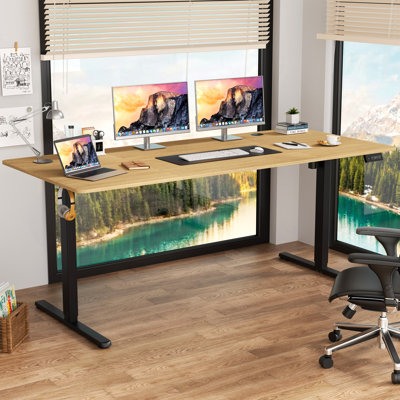 Oishee Electric Adjustable Standing Desk