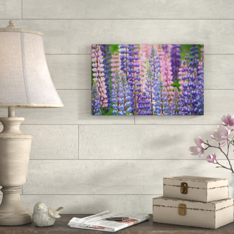 « blue rose lupine fleurs », reproduction de photo sur toile tendue, H 12 po x l 19 po x P 2 po
