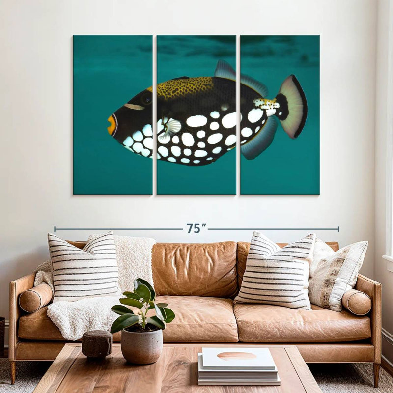 Brampt Clown Triggerfish Pet, 42" H x 65" W