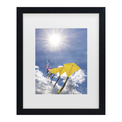 Bolog Kurt Shaffer Rainbow String Of 60 Kites 11 Matted Framed Art