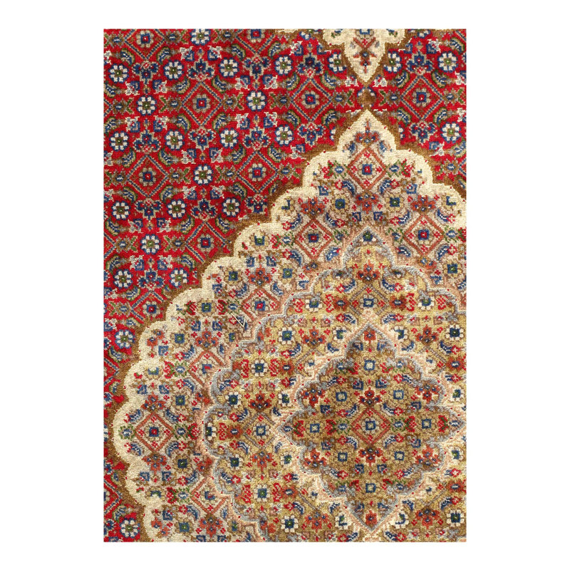 Scarlytt Oriental Area Rug in Red