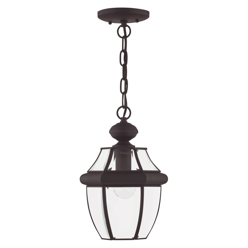 Lanterne suspendue d'extérieur 1 lumière H 10,75 po Alexavier, Bronze