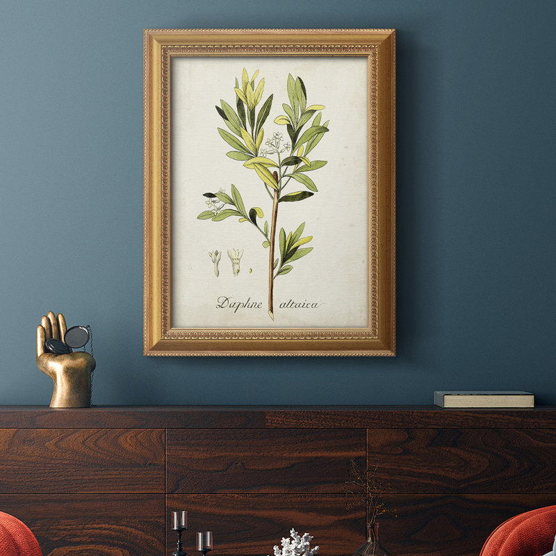 " Antique Herb Botanical IV ", 27" H x 18" W x 2.5" D