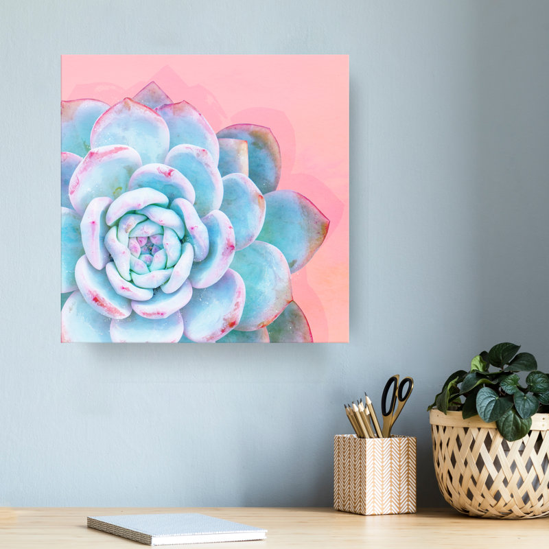 « réveil i », impression sur toile encadrée en bleu/rose succulent, H 30 po x l 30 po x P 1,5 po, Cadre blanc
