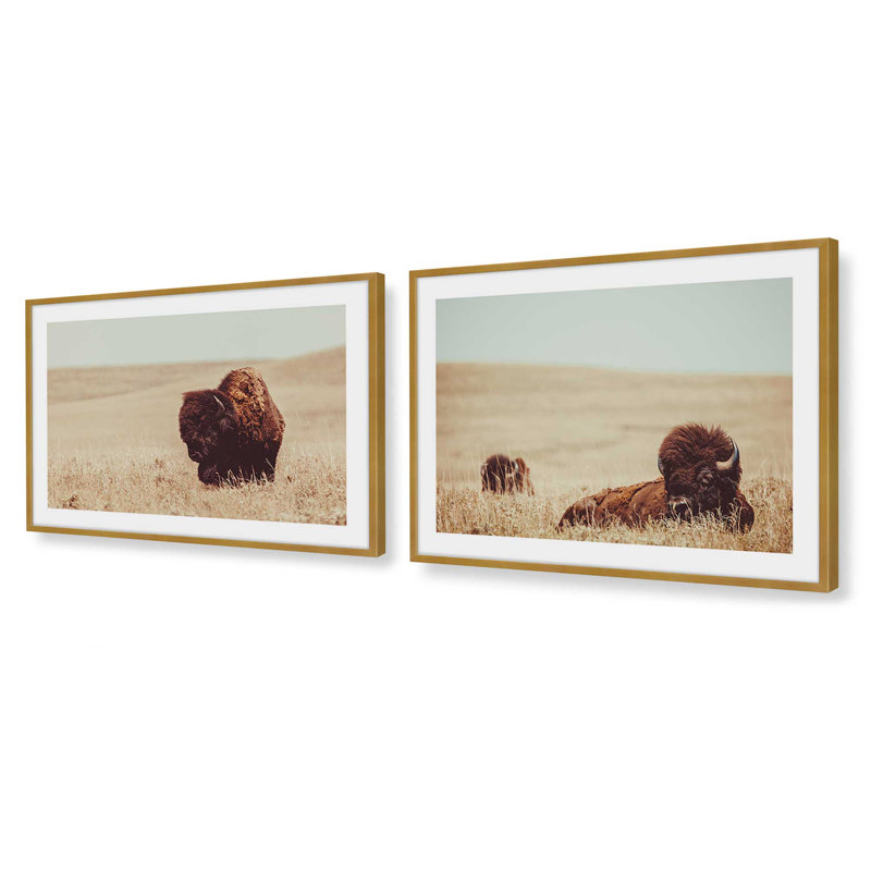 Prairie Bisons, ensemble de 2 impressions dans un cadre, Cadre doré poli, H 12,5 po x l 29,5 po x P 1,25 po