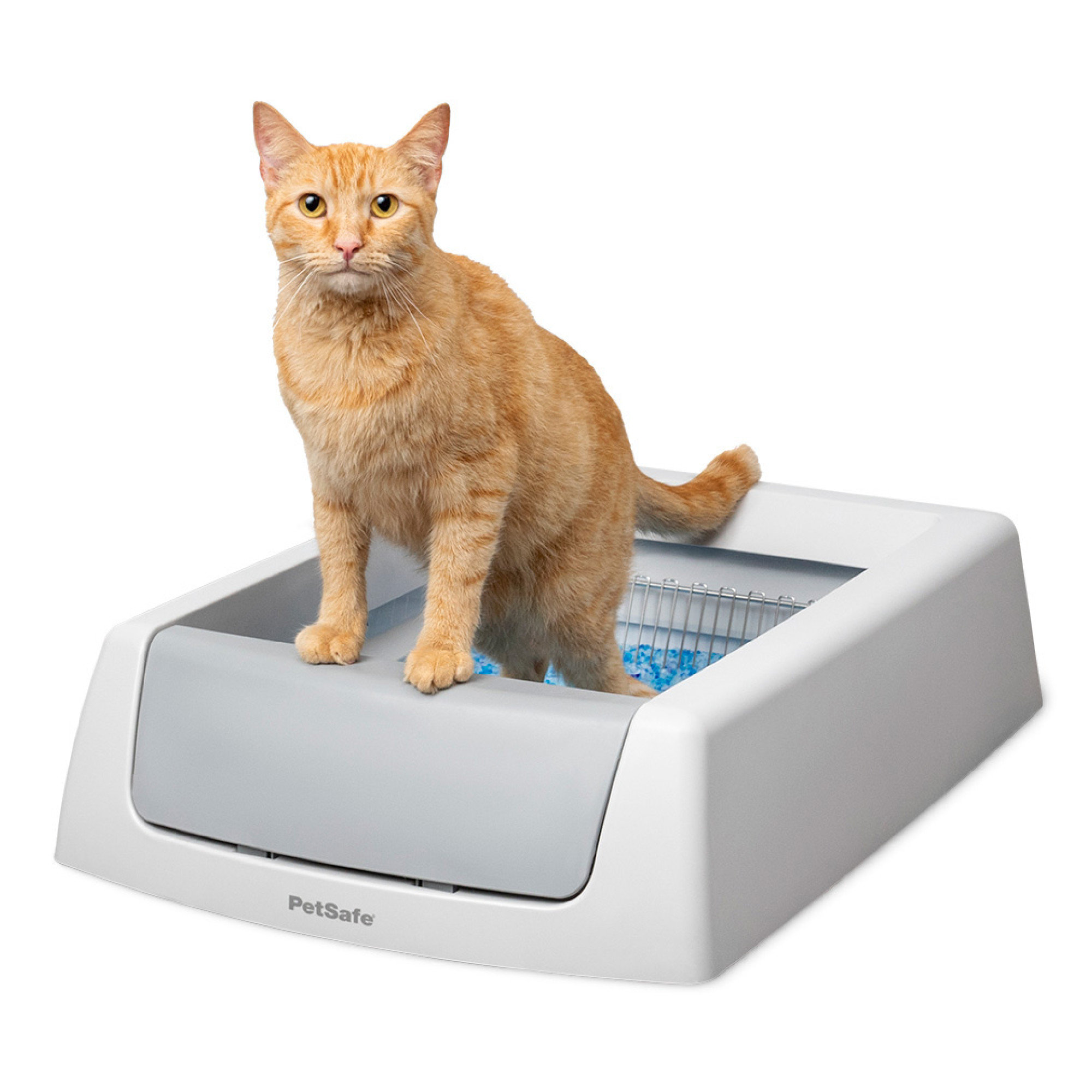 PetSafe ScoopFree Crystal Classic Self-Cleaning Litter Box & Reviews