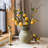 Arrangement-37246784