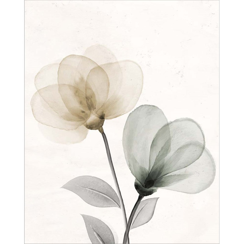 «Open Bloom 1» par Kimberly Allen, impression sur toile tendue