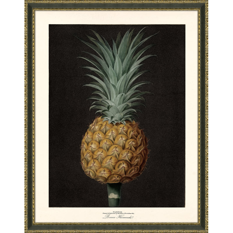 Pineapples Giclee Print by Soicher Marin Archives