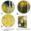 «Yellow Leaf Birches In The Forest II», reproduction sur toile-303975204-303975225