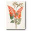 « Botanical of the tropiques II », reproduction d’art sur toile tendue-740477210