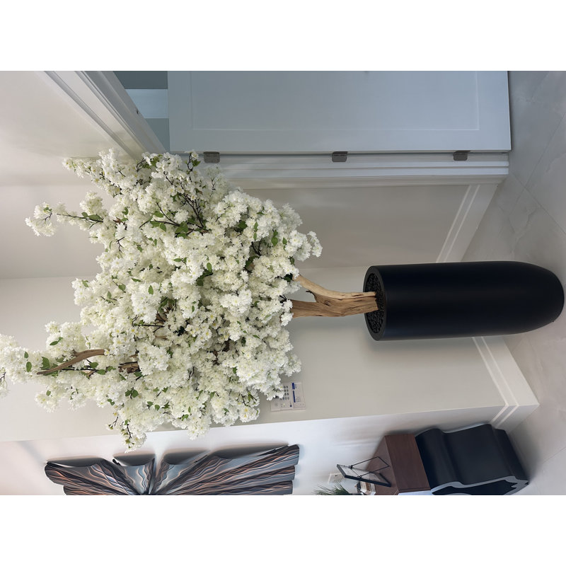 White Cherry Blossom Tree In Matte Planter, White