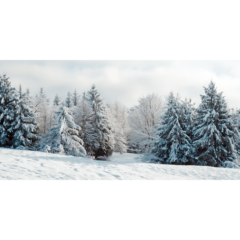 «Snow Covered Winter Forest Landscape», art mural sur toile tendue, 20 po x 40 po