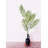 Palm Arrangement